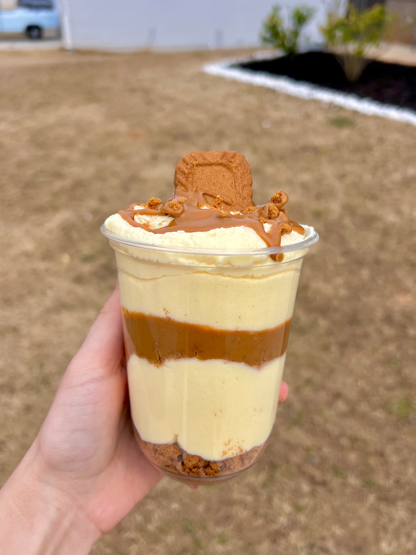 Biscoff Cheesecake Cup