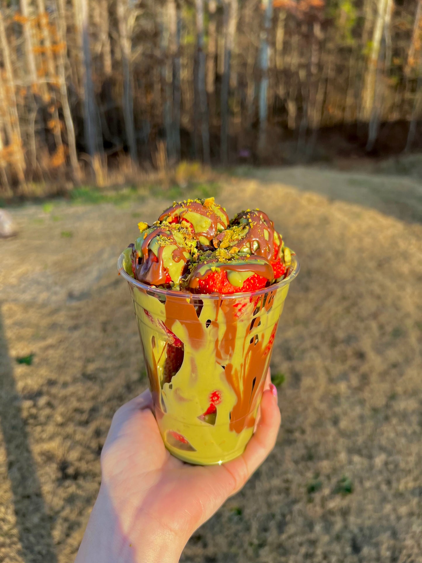 Chocolate Strawberry Cup