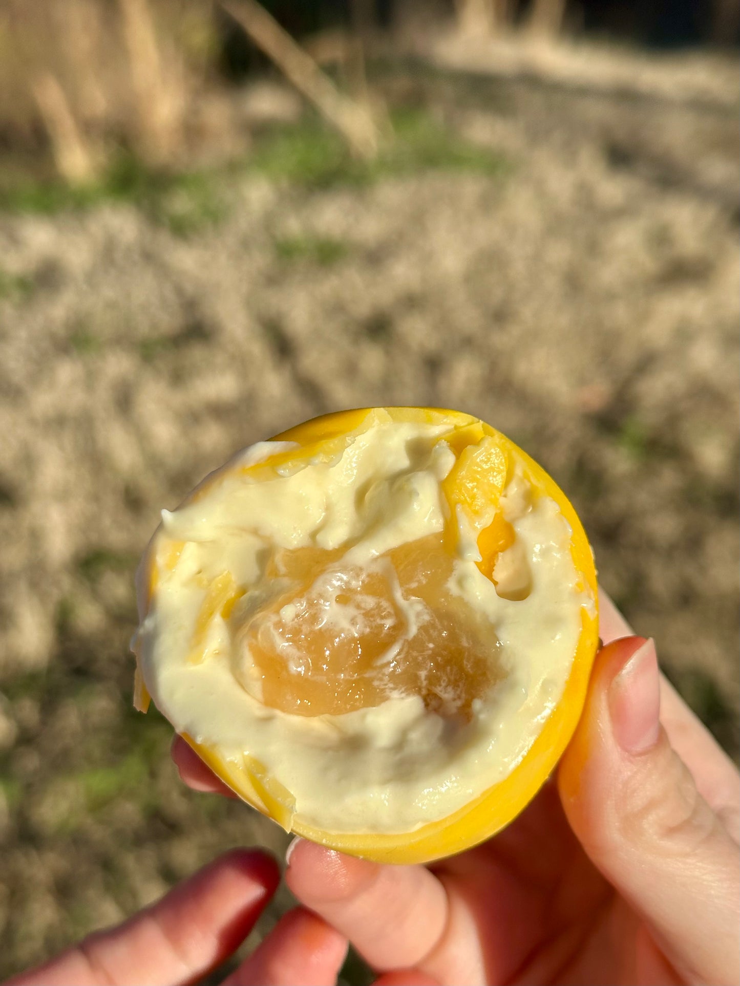 The Viral Fruit Pastries