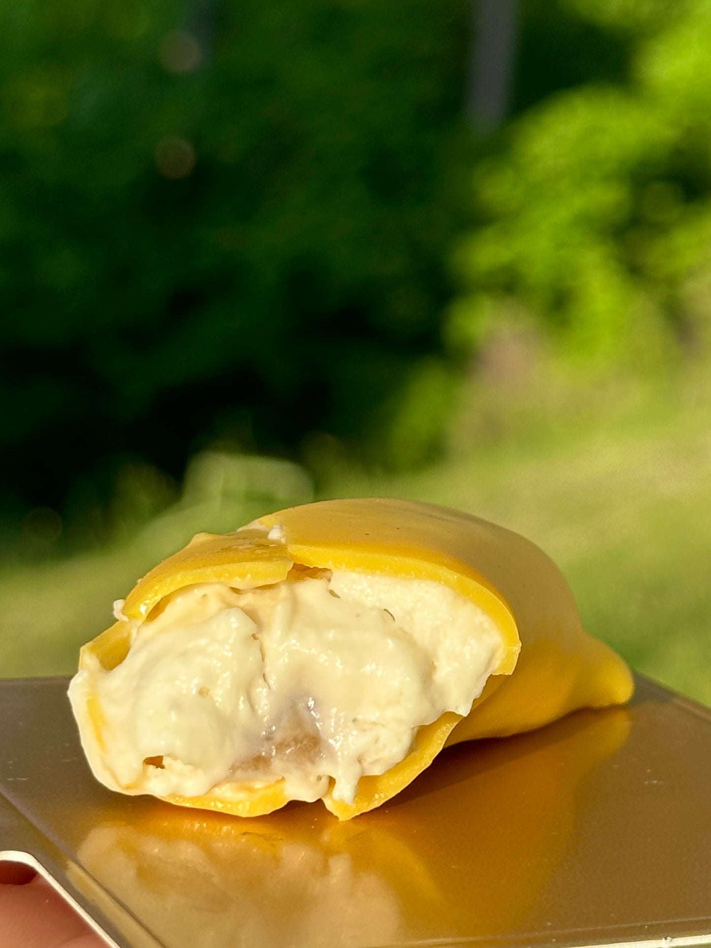The Fruit Pastries