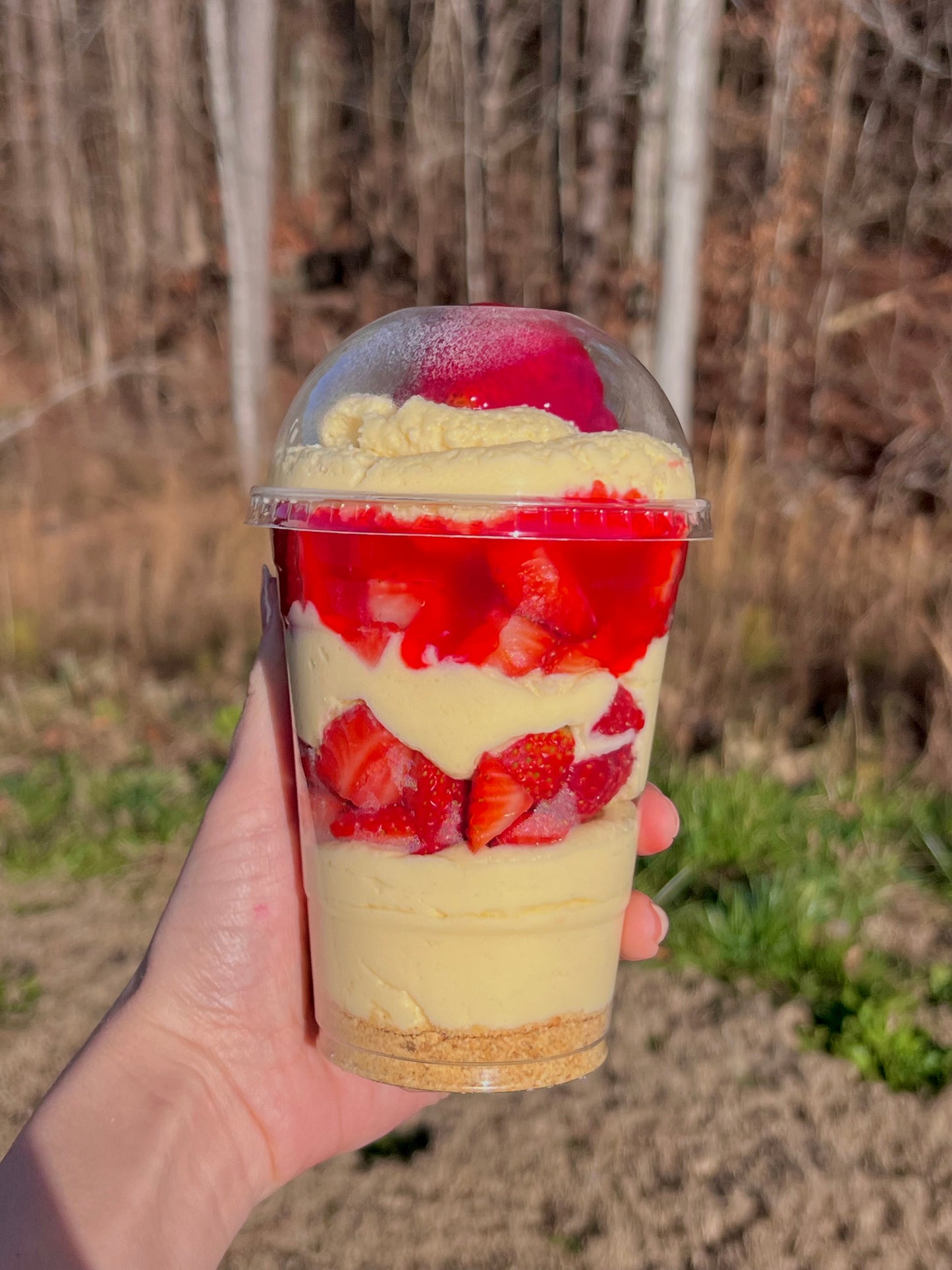 Cheesecake Cups