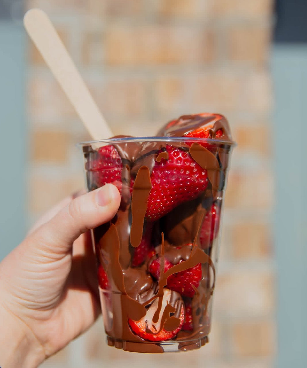 Chocolate Strawberry Cup