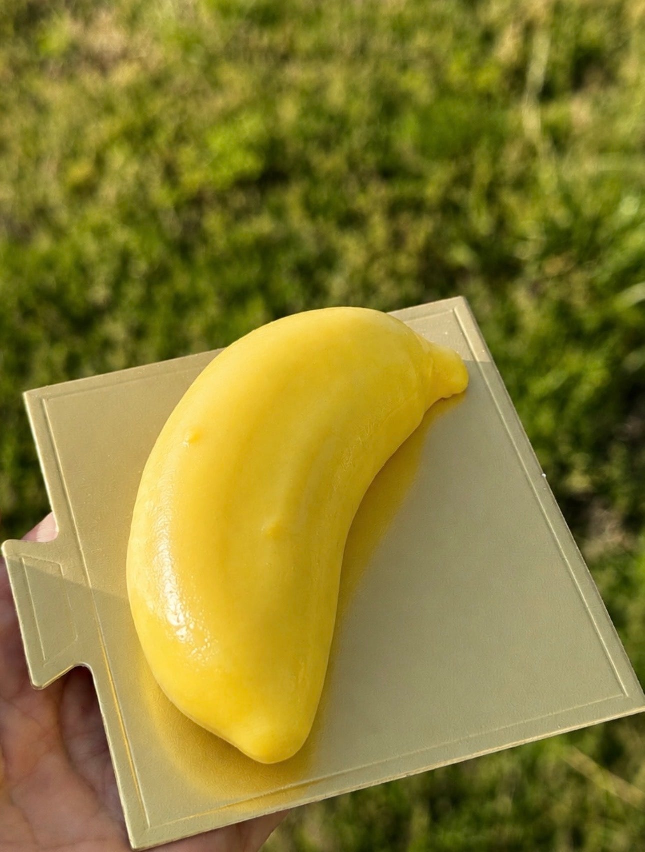The Fruit Pastries