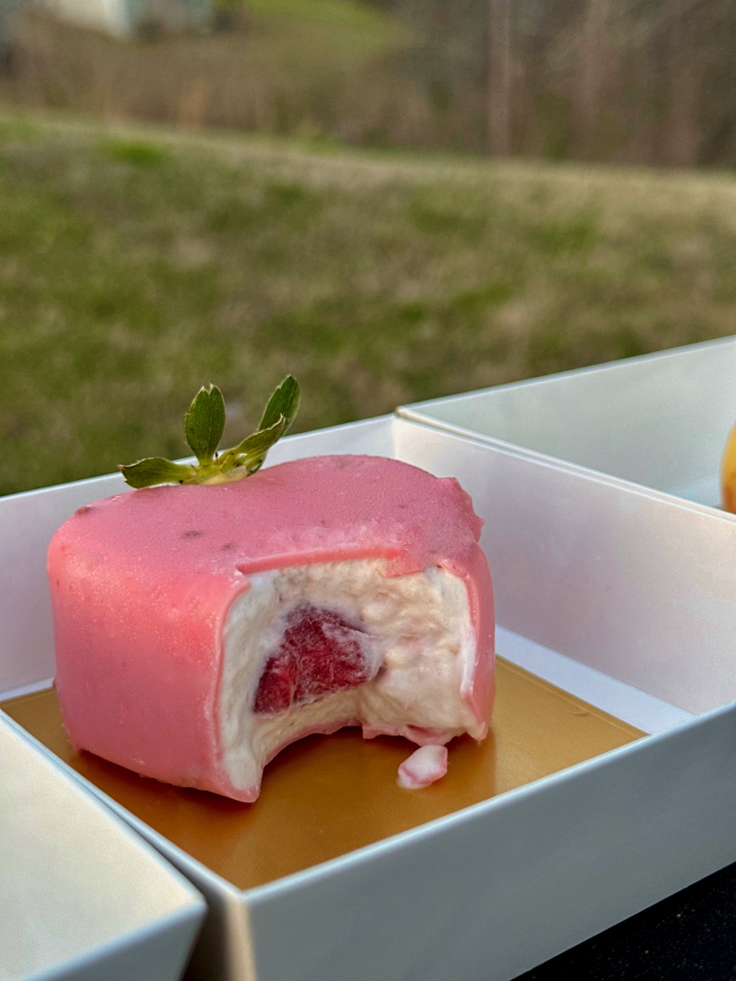 The Viral Fruit Pastries