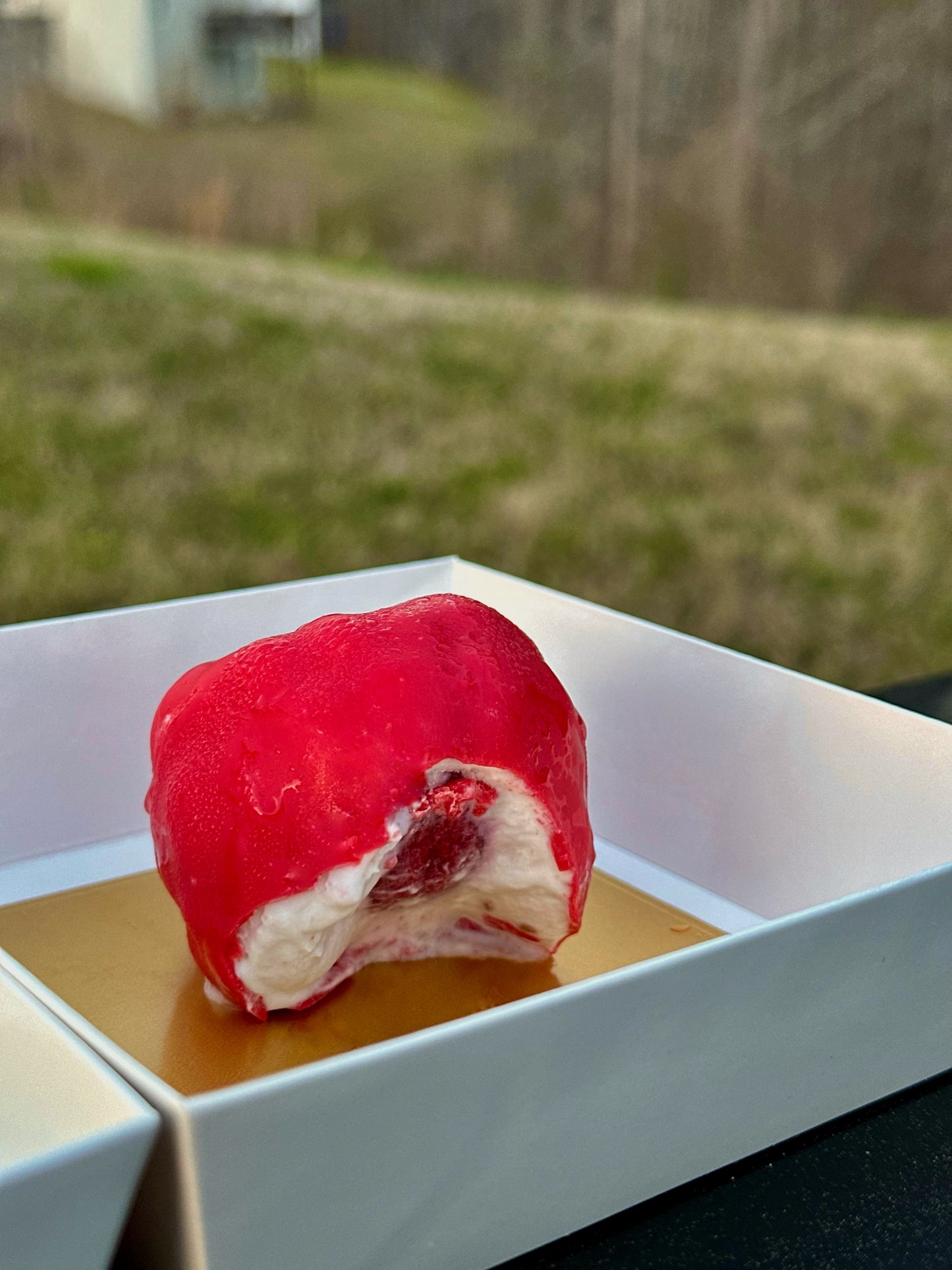 The Viral Fruit Pastries