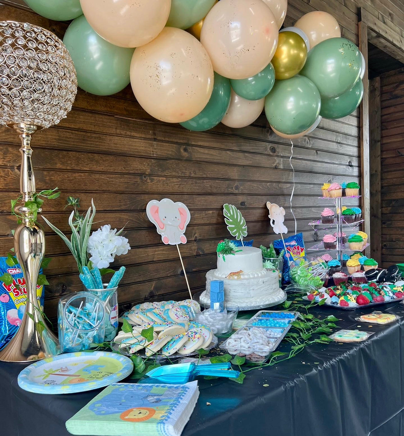 Safari Themed Baby Shower