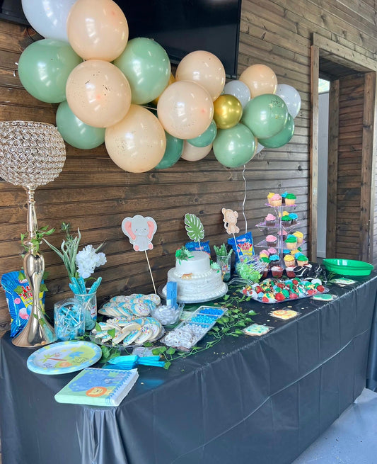 Safari Themed Baby Shower